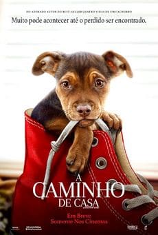 A Caminho de Casa - filmes online grátis hd