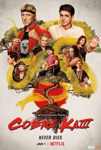 Cobra Kai 3ª Temporada